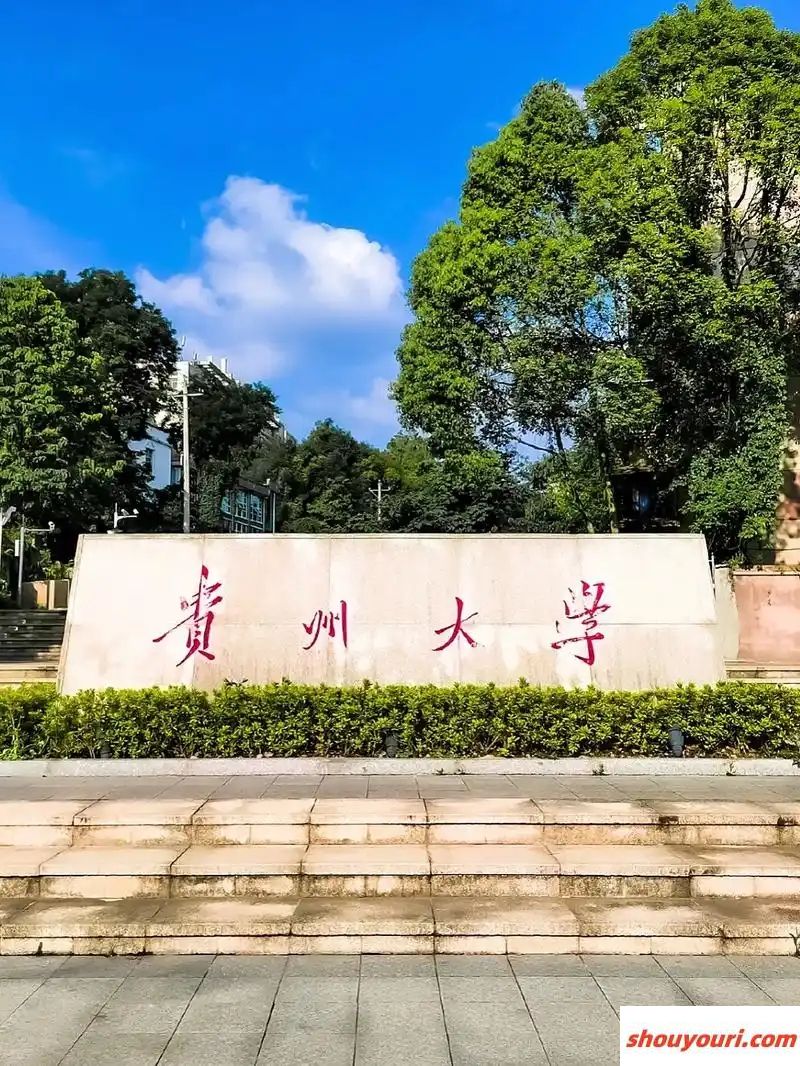 2024贵州省全部大学排名一览表 贵州高校最新排行榜