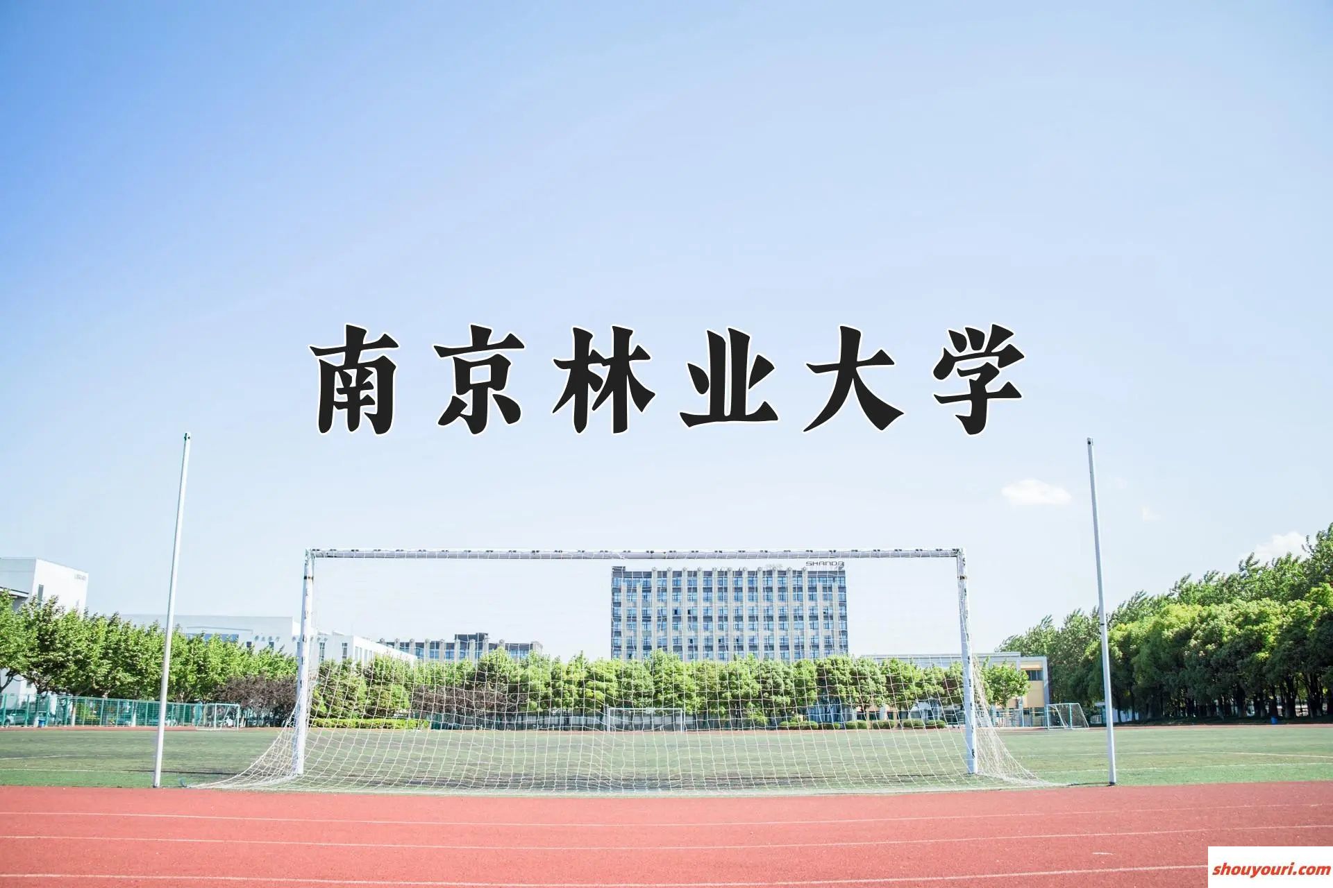 南京林业大学值得报考吗？2024王牌专业排名全解析