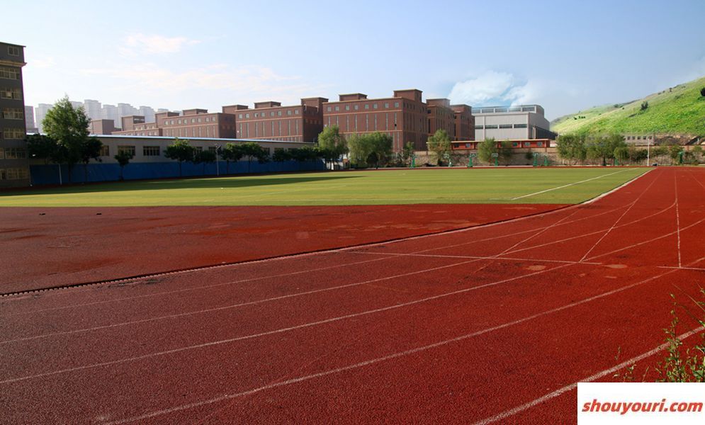 南京体育学院2024年在江苏录取分数线、对应位次（附近几年最低录取分数线及位次排名）