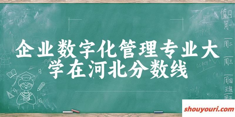 2024企业数字化管理专业河北录取分数线多少分 附专业代码 (2025参考)