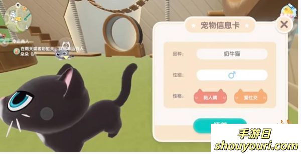 心动小镇怎么养猫 养猫攻略分享